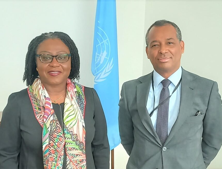 El Representante del Frente POLISARIO en la ONU se reúne con la Asistente del Secretario General de la ONU para África | Sahara Press Service