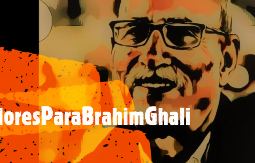 Campaña de apoyo al presidente Ghali: envío de #FloresParaGhali al hospital de Logroño