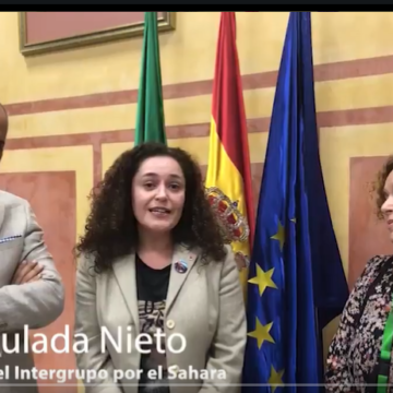 Solidaridad del pueblo andaluz con el pueblo saharaui ?? (varios)
