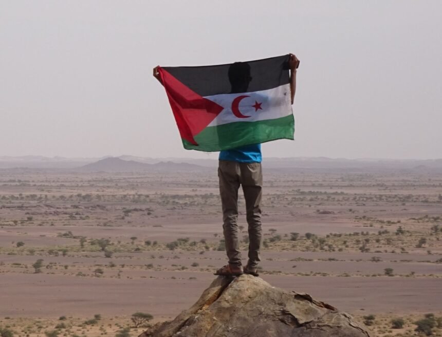 dsc00512-e1558349717781 Unidas Podemos llevará a Europa reconocer a la RASD y la libre determinación saharaui — Contramutis