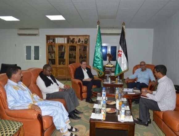 President of Republic receives South African Deputy Minister of International Relations and Cooperation | Sahara Press Service