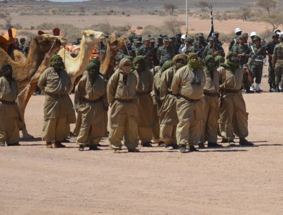 Lutte armée sahraouie : une célébration sur fond d’attachement à l’autodétermination | Sahara Press Service