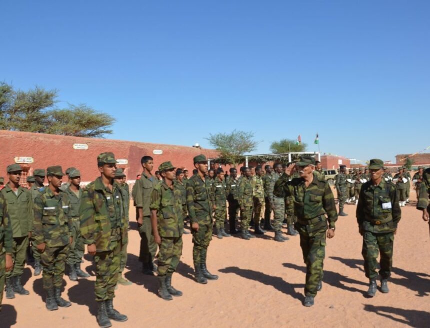 La Actualidad Saharaui: 20 de noviembre de 2020 ??