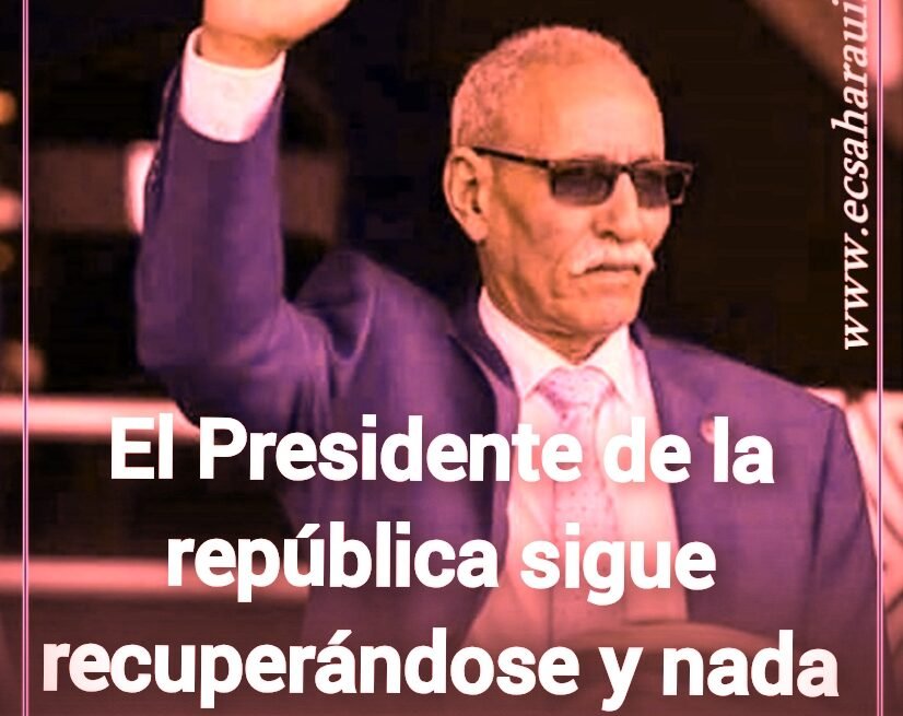 ec5d9bb0-969d-4578-bc8d-b7e8bb45c2ca-1 La #ActualidadSaharaui: 19 de mayo de 2021 ??