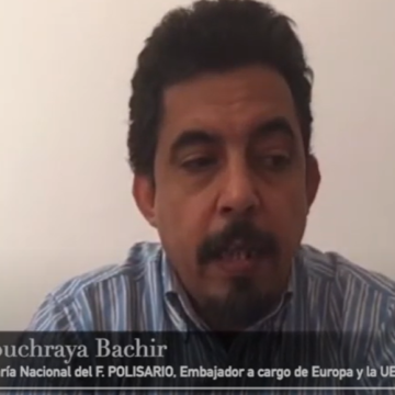 Declaración de Oubi Bouchraya, miembro del SN del F. Polisario y Embajador a cargo de Europa y la UE 