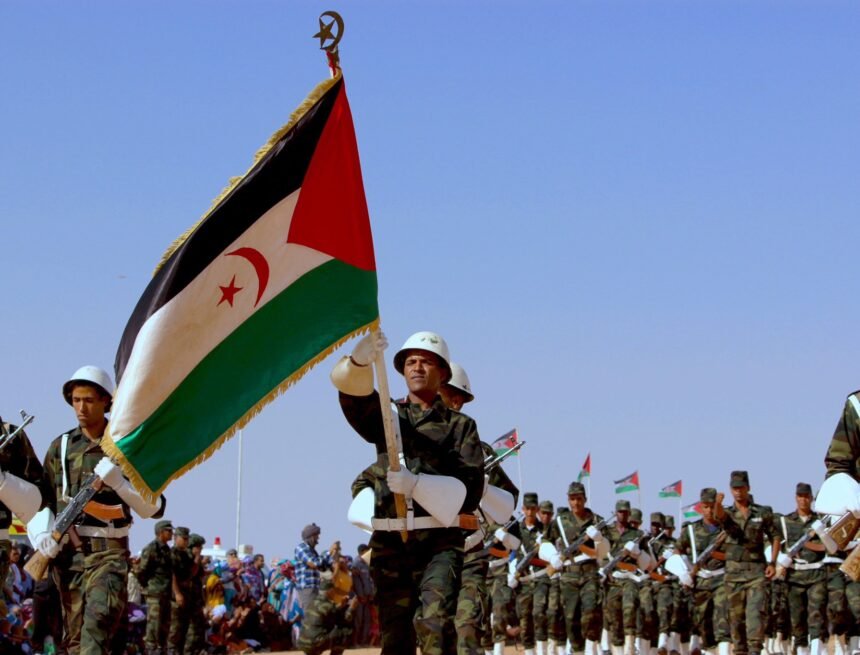 ¡ÚLTIMAS noticias – Sahara Occidental! | 13 de noviembre de 2020