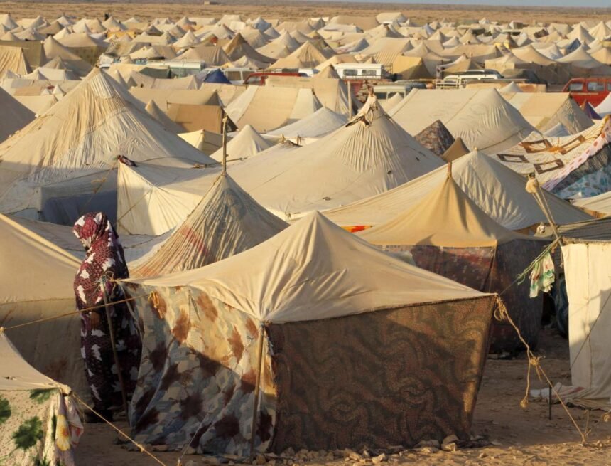 el-campamento-de-agdaym-izik-el-6-de-noviembre-de-2010-reuters La resistencia saharaui tiene rostro de mujer – La Gaceta de los Miserables
