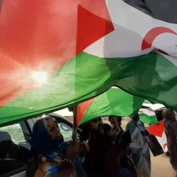 ¡ÚLTIMAS noticias – Sahara Occidental! | 8 de noviembre de 2020