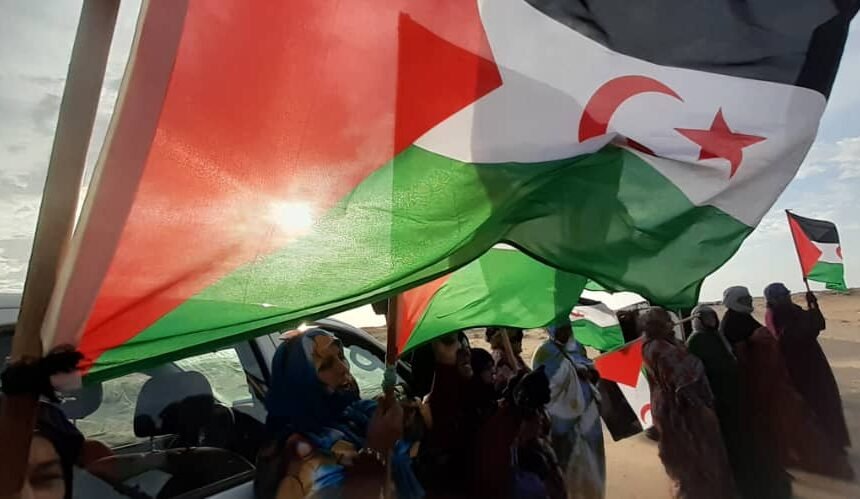 ¡ÚLTIMAS noticias – Sahara Occidental! | 8 de noviembre de 2020