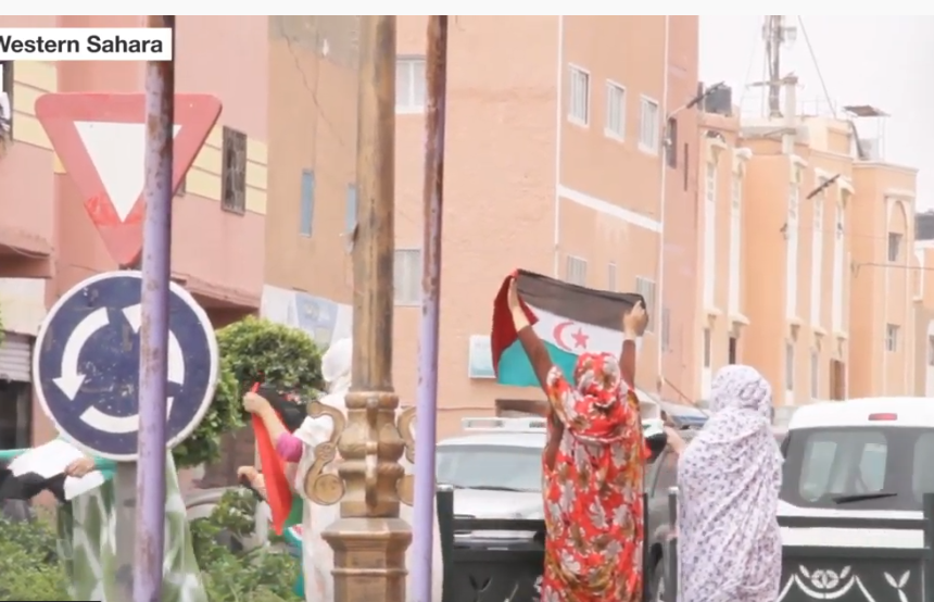 erft Western Sahara: Saharawi women holding Western Sahara flags