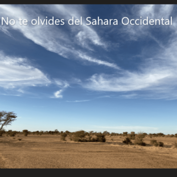 ¡LA ACTUALIDAD SAHARAUI! – 11/8/2023 –NOTICIAS del Sahara Occidental