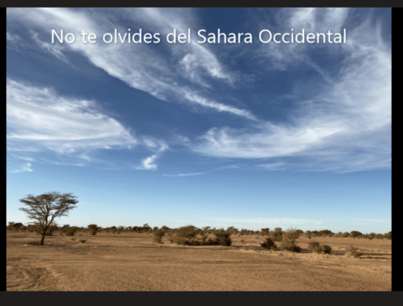 ¡LA ACTUALIDAD SAHARAUI! – 11/8/2023 –NOTICIAS del Sahara Occidental