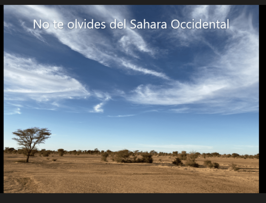 ¡LA ACTUALIDAD SAHARAUI! – 11/8/2023 –NOTICIAS del Sahara Occidental