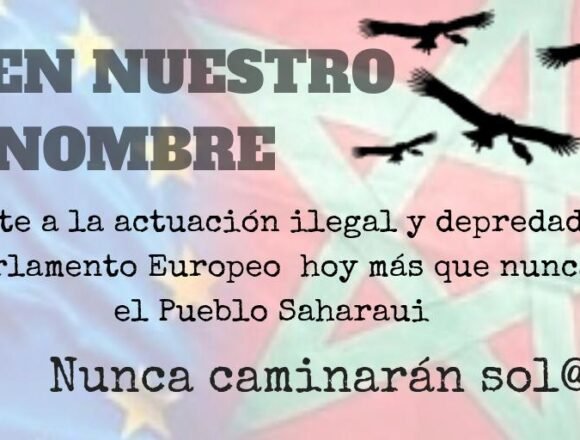 fac52ffd-fd5b-466f-ac1a-09bc7d7e73f7 CEAS-Sahara: La Unión Europea vulnera su propia legalidad y legitima la ocupación ilegal del Sahara occidental