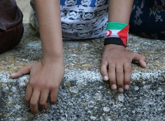 «Saleh nos da otra perspectiva de la situación que están viviendo en el Sáhara» – últimoCero | Noticias de Valladolid