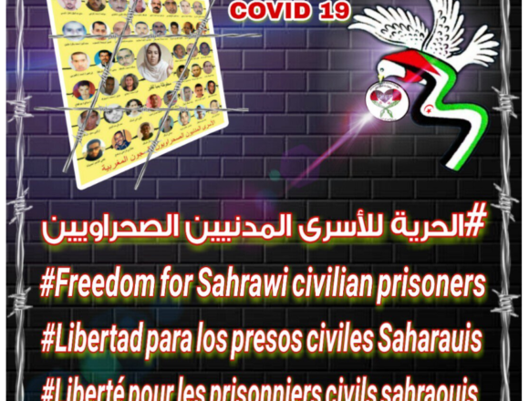 ¡ÚLTIMAS noticias contra el desierto informativo del Sahara Occidental!