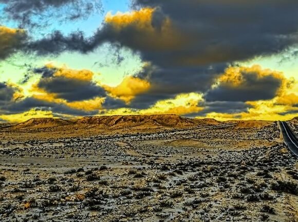 Questions sur un forum au Sahara occidental – Le Temps