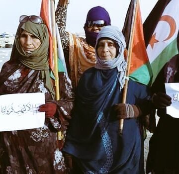 FANDAS-Sahara traslada su incondicional apoyo a las protestas de Guerguerat y exige a la ONU el inmediato cierre de la brecha ilegal | Sahara Press Service
