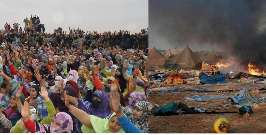 ¡ÚLTIMAS noticias – Sahara Occidental! 9 de noviembre de 2021 ?? ?? ??