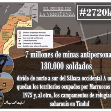 gggggggggggg La Actualidad Saharaui: 8 de enero de 2020 (fin de jornada) ??