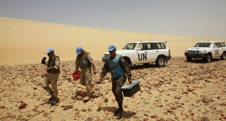 Amnistía Internacional pide que la MINURSO vigile los Derechos Humanos | Contramutis