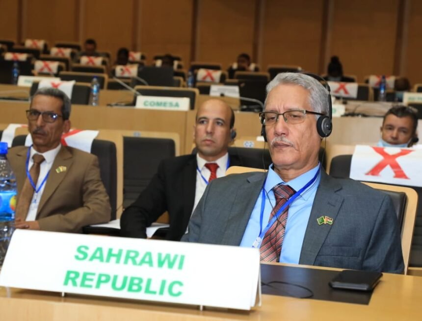 El Director Nacional de Seguridad y Documentación encabeza la delegación saharaui a la 17ª Sesión Ordinaria de Jefes de Estado Mayor y Seguridad de la UA | Sahara Press Service