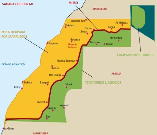 Profesorado de las universidades de Sussex, Princeton, Carleton y Exeter han publicado una carta de Solidaridad con el Sahara Occidental ¡Llaman a todos a firmar!