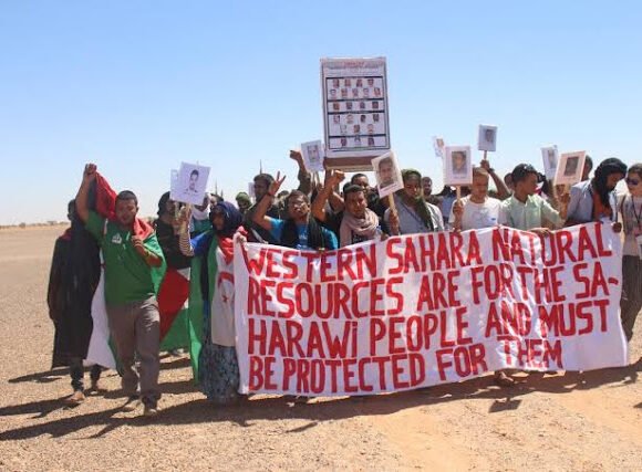 images-1 Los saharauis piden a la UE no firmar acuerdos con Marruecos que incluyen el Sáhara Occidental — El Confidencial Saharaui
