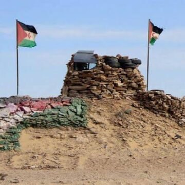 ¡ÚLTIMAS noticias contra el desierto informativo del Sahara Occidental!