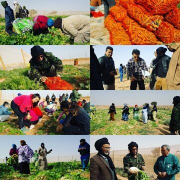 ⚡️ ?? La #ActualidadSaharaui HOY, 18 de febrero de 2019 ??