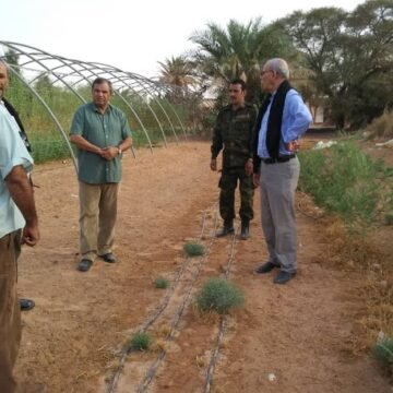 President of Republic observes start of new agricultural season in wilaya of Smara | Sahara Press Service