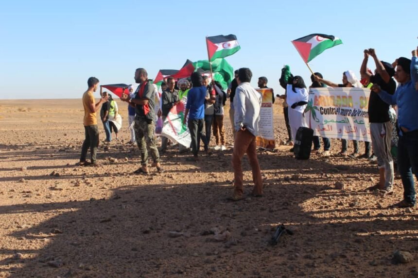 Los jóvenes saharauis dicen basta al muro marroquí de la humillación y la vergüenza | Sahara Press Service