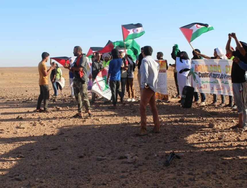 Los jóvenes saharauis dicen basta al muro marroquí de la humillación y la vergüenza | Sahara Press Service