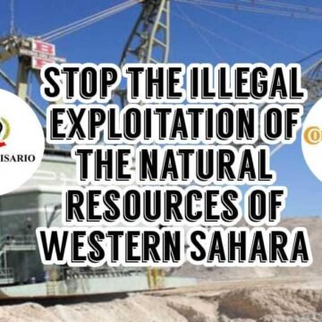 ¡ÚLTIMAS noticias – Sahara Occidental! 12 de febrero de 2021