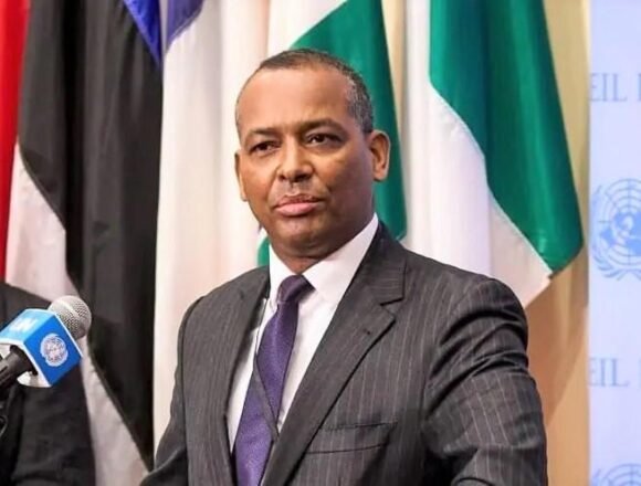 El Representante del Frente POLISARIO en la ONU vuelve a refutar las alegaciones del Representante marroquí en la ONU | Sahara Press Service