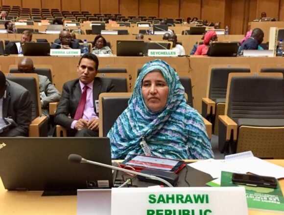img_1565 La RASD participa en Tercer período de sesiones del Comité Técnico Especializado sobre Desarrollo Social, Trabajo y Empleo en Addis Abeba | Sahara Press Service