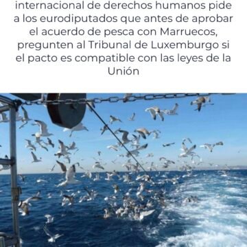 Human Rights Watch pide un análisis del acuerdo de pesca con Marruecos | Internacional | Cadena SER