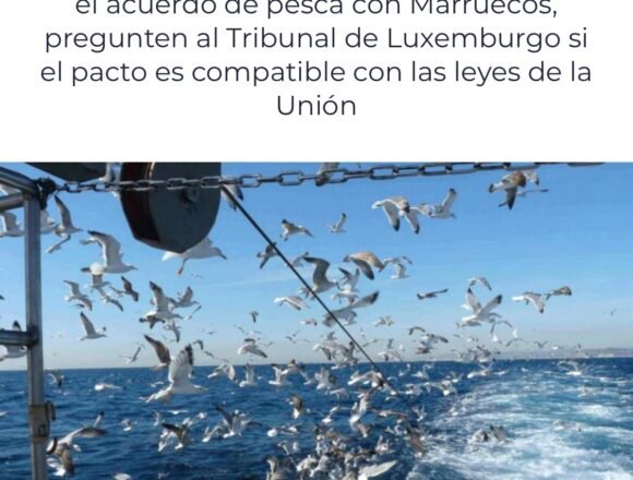 Human Rights Watch pide un análisis del acuerdo de pesca con Marruecos | Internacional | Cadena SER