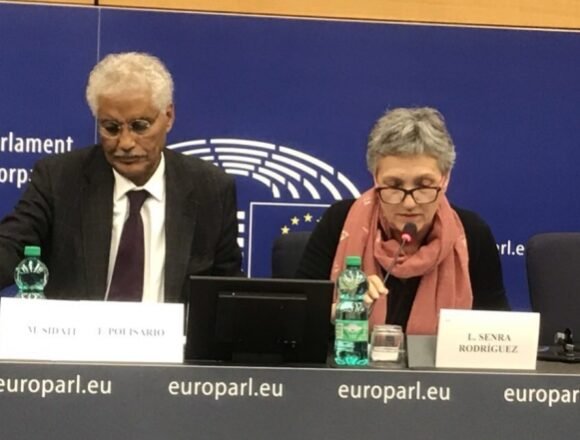 ULD Sidati asegura que el complot y la presión ejercida por la Comisión Europea para influir en los parlamentarios europeos reflejan la intención premeditada de Europa de burlar la legitimidad internacional | Sahara Press Service