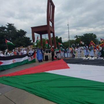 La activista mirandesa, Marian Rocandio, viaja a Ginebra para defender los derechos del Sáhara Occidental – La de Miranda TV