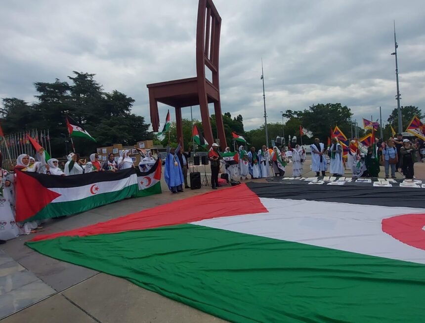 La activista mirandesa, Marian Rocandio, viaja a Ginebra para defender los derechos del Sáhara Occidental – La de Miranda TV