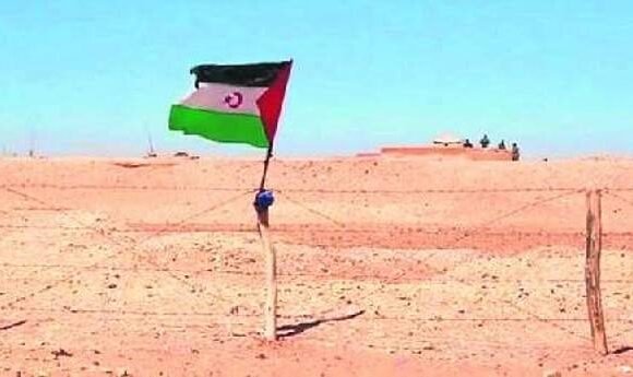 import_9287456_1 «Marruecos intenta blanquear en Canarias las atrocidades que comete en el Sáhara Occidental» — ECSAHARAUI