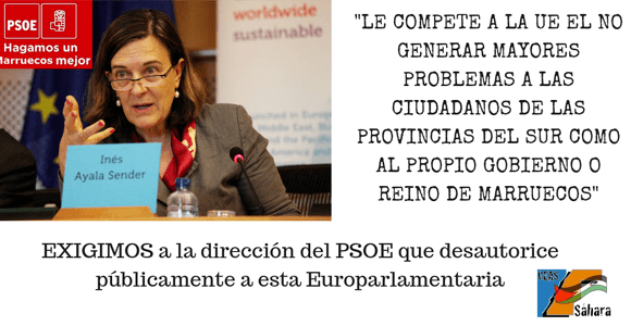 ines_ayala_psoe_w-min EXIGIMOS a la dirección del PSOE que desautorice públicamente a Inés Ayala, que está haciendo el trabajo “sucio” al régimen feudal marroquí – CEAS-Sahara