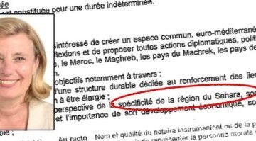 Dimite la ponente del Parlamento europeo para el acuerdo sobre el Sahara Occidental | Tercera Información