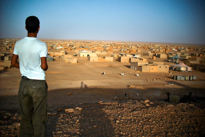 Jovent sahrauí, la convicció i la lluita d’una generació que anhela conèixer la seva terra – directa.cat – SONIA HERRERO acapsfederacio