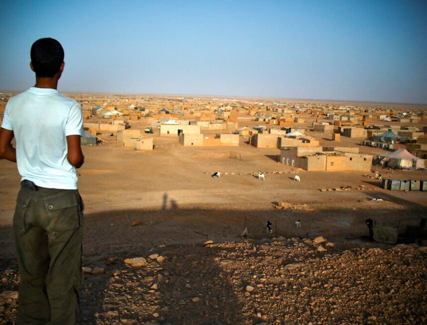 Jovent sahrauí, la convicció i la lluita d’una generació que anhela conèixer la seva terra – directa.cat – SONIA HERRERO acapsfederacio