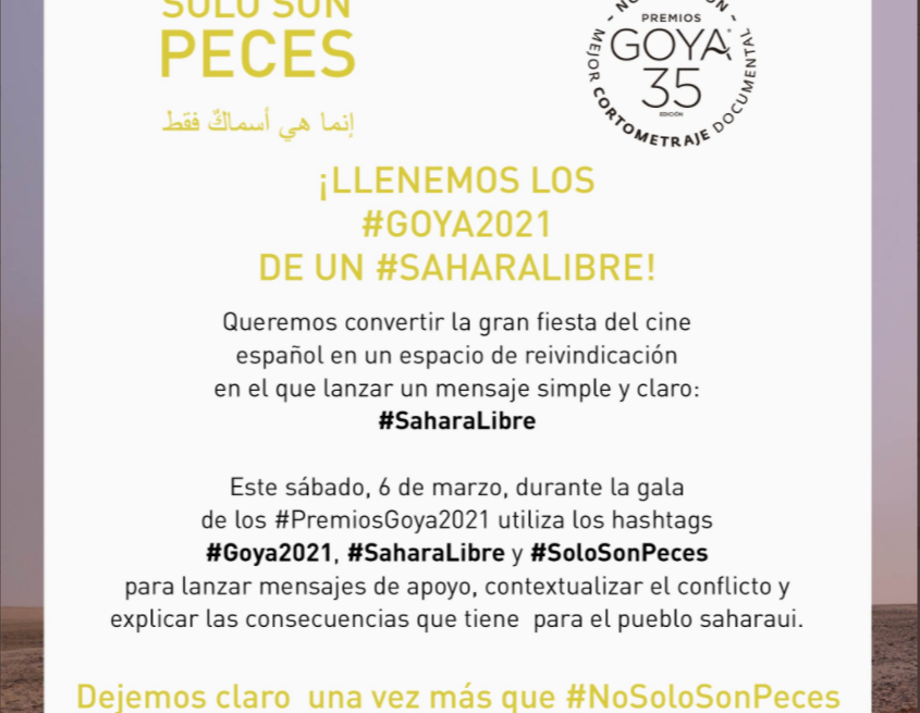 ¡ÚLTIMAS noticias – Sahara Occidental! 5 de marzo de 2021