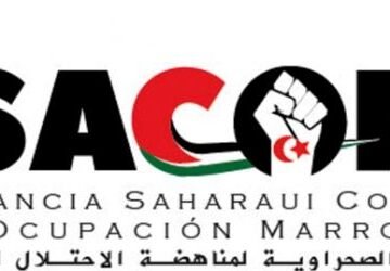 Las fuerzas de ocupación marroquíes detienen y torturan a un destacado activista saharaui de ISACOM | Sahara Press Service