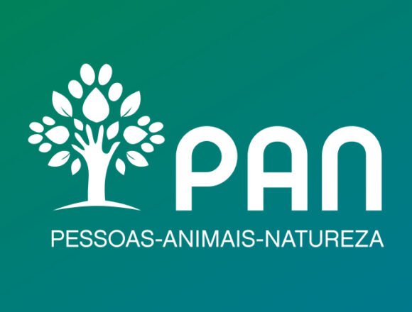 Grupo Parlamentario PAN (Portugal) cuestiona al gobierno portugués sobre el Sáhara Occidental | Sahara Press Service