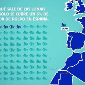 Campaña «Los tentáculos del Pulpo – CEAS-Sahara